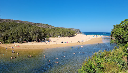 Exploring the Royal National Park and Urban Structure of Sutherland Shire